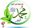 abdullahelmlegy