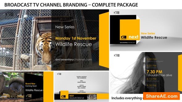 Videohive Broadcast Design - TV Channel Branding 1