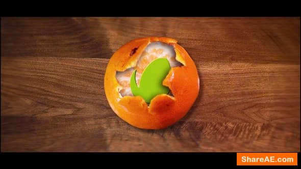 Videohive Tangerine Logo Videohive Tangerine Logo