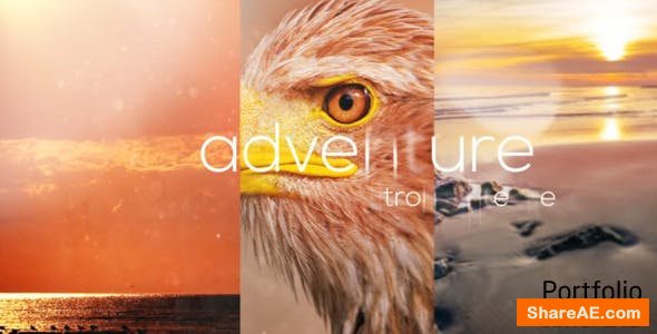 Videohive Portfolio Videohive Portfolio