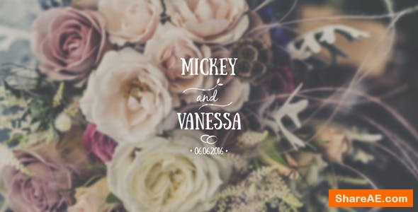 Videohive Wedding Titles Pack 16722750 Videohive Wedding Titles Pack 16722750