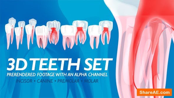Videohive 3D Teeth Set Videohive 3D Teeth Set
