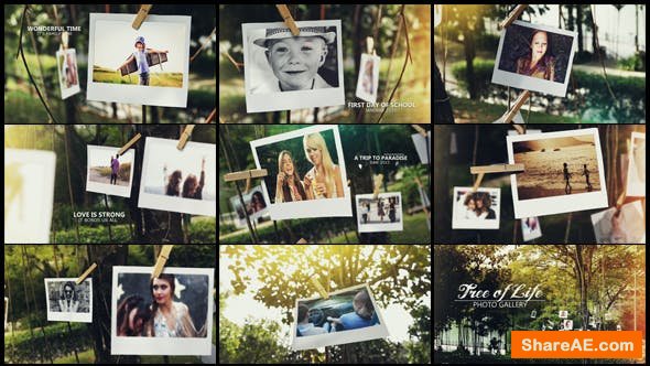Videohive Tree of Life Photo Gallery