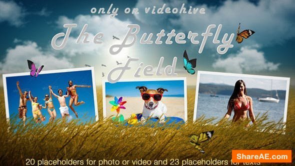 Videohive Photo Slideshow - Butterfly Field Videohive Photo Slideshow - Butterfly Field