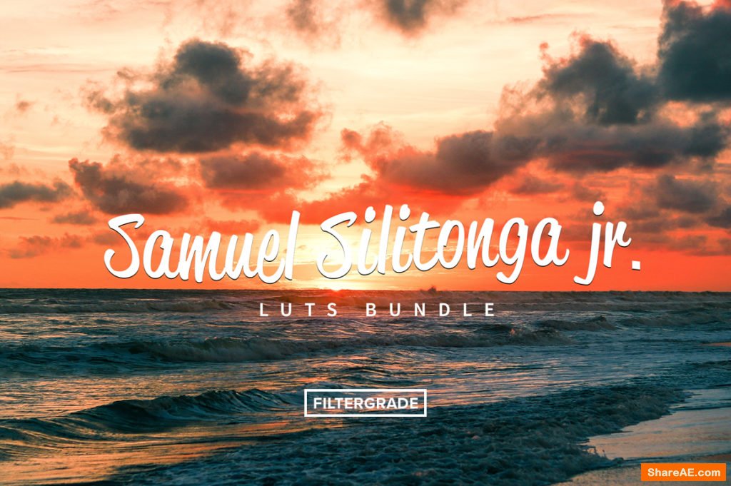 Samuel Silitonga Jr. Video LUTs Samuel Silitonga Jr. Video LUTs