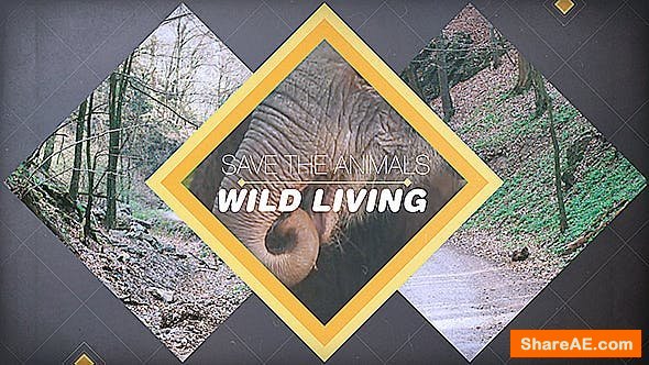 Videohive Wild Living Videohive Wild Living