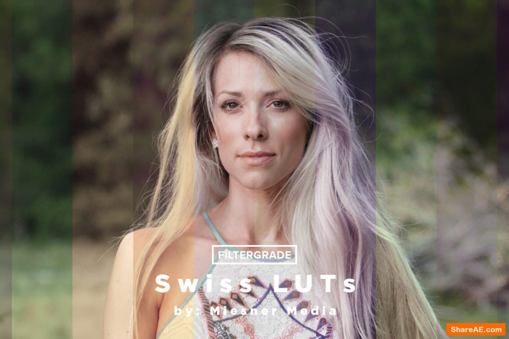 Theo Miesner Swiss Video LUTs Theo Miesner Swiss Video LUTs