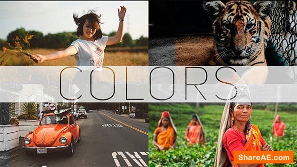 Videohive COLORS - Photo/Video Gallery Videohive COLORS - Photo/Video Gallery