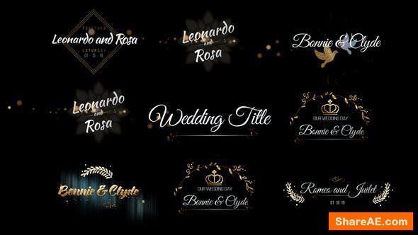 Videohive Six Beautiful Wedding Title Videohive Six Beautiful Wedding Title