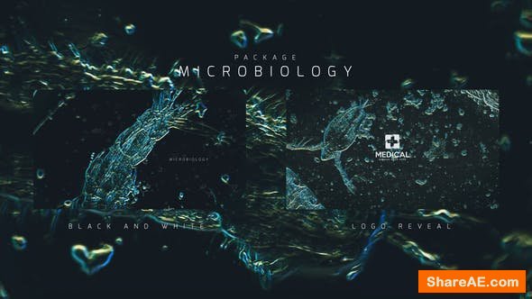 Videohive Microbiology Package Videohive Microbiology Package