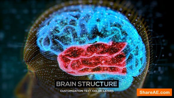 Videohive Brain Structure (4-pack)