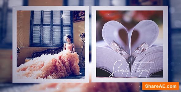 Videohive Wedding Day 21205306