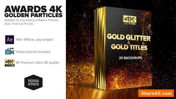 Videohive Awards 4K Golden Glitter Particles Titles
