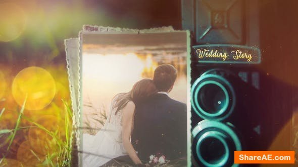 Videohive Wedding 24310524 Videohive Wedding 24310524
