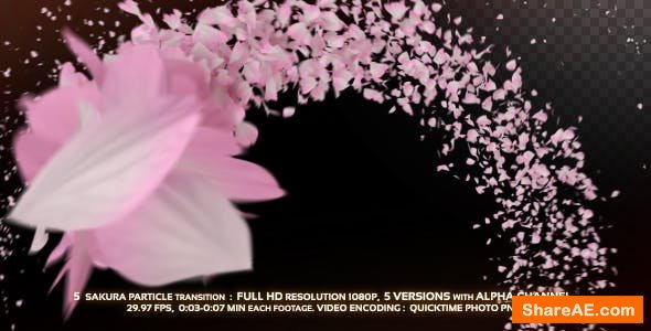 Videohive 5 Sakura Particle Transition - Motion Graphics Videohive 5 Sakura Particle Transition - Motion Graphics