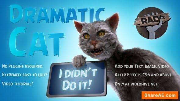 Videohive Funny Dramatic Cat Videohive Funny Dramatic Cat