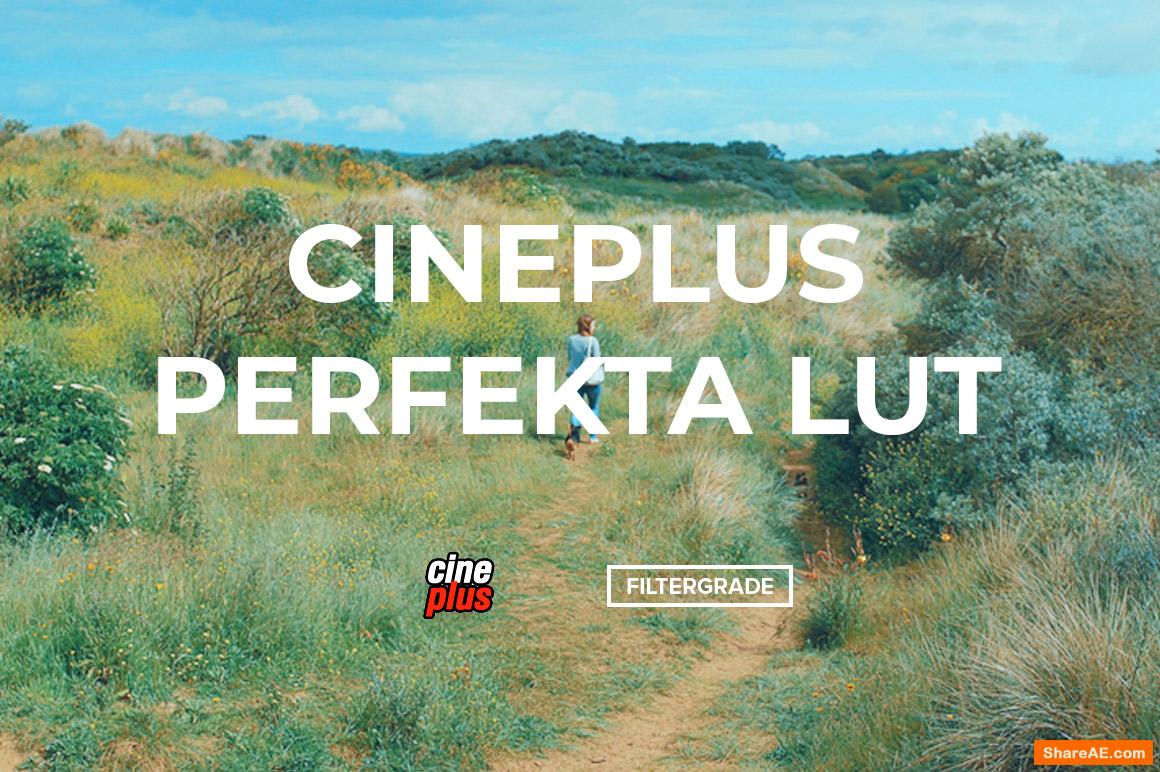 Cineplus Perfekta LUT Cineplus Perfekta LUT