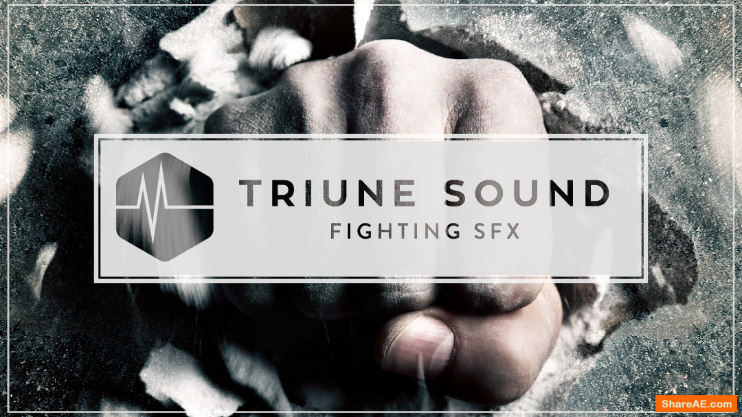 Fighting SFX - Triune Digital Fighting SFX - Triune Digital