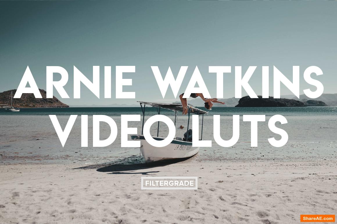 Arnie Watkins Video LUTs - Filtergrade Arnie Watkins Video LUTs - Filtergrade