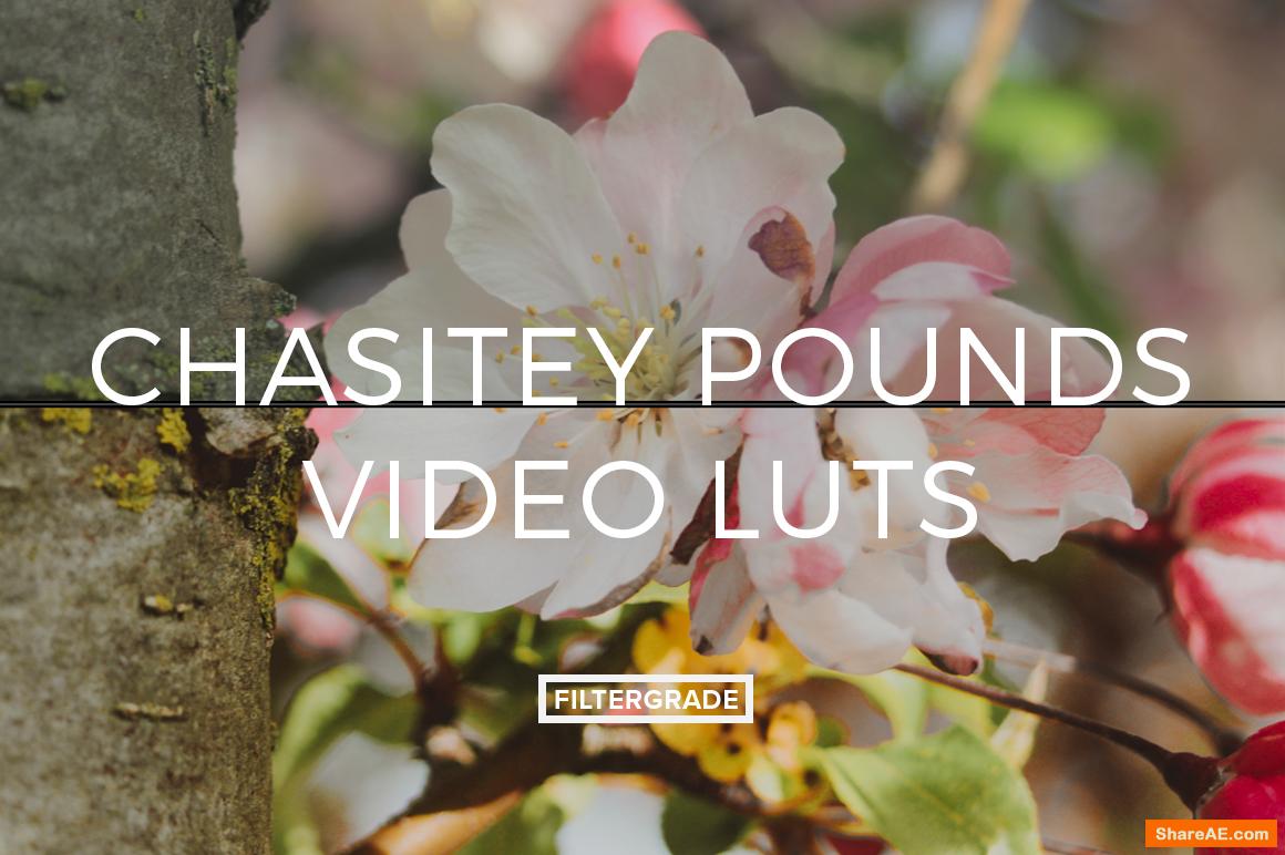 Chasitey Pounds Video LUTs - Filtergrade Chasitey Pounds Video LUTs - Filtergrade