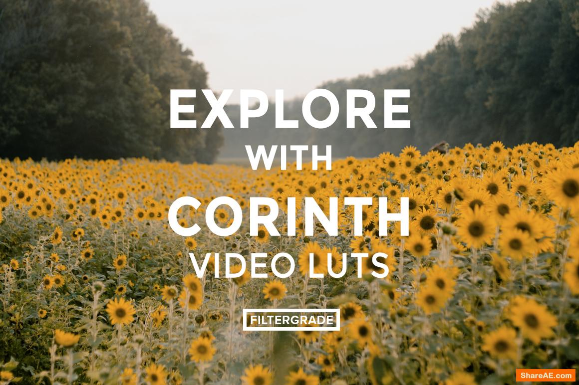 Corinth Suarez Video LUTs - Filtergrade Corinth Suarez Video LUTs - Filtergrade