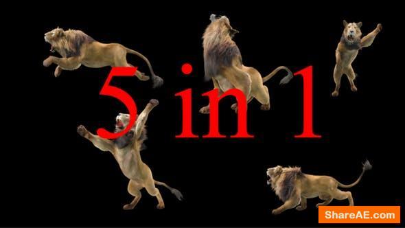 Videohive Lion 5 Pack - Motion Graphics Videohive Lion 5 Pack - Motion Graphics