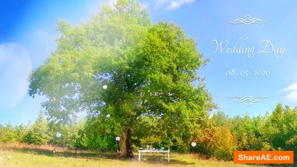Videohive Wedding 26702246 Videohive Wedding 26702246