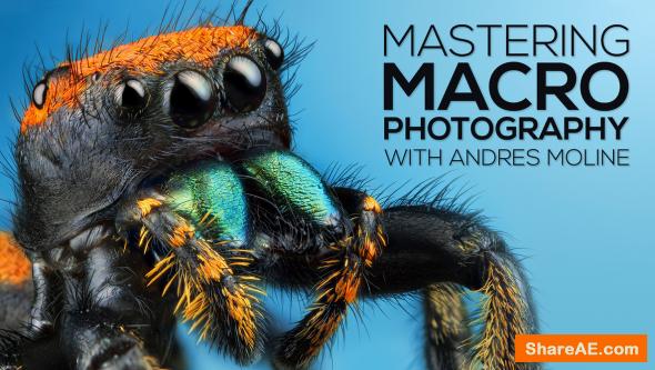 Mastering Macro Photography - The Complete Shooting and Editing - Fstoppers