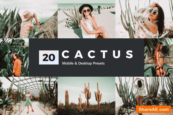 20 Cactus Lightroom Presets and LUTs