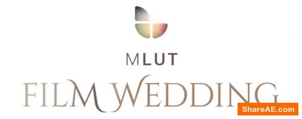 25 Professional LUT Pack - mLUT Film Wedding